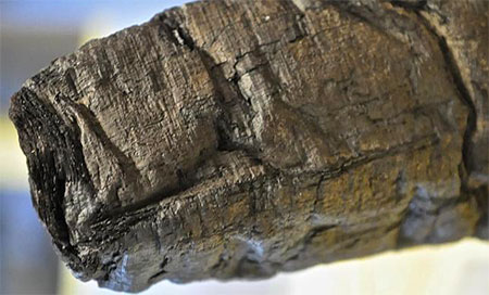 Logran leer el contenido de los rollos carbonizados de Herculano